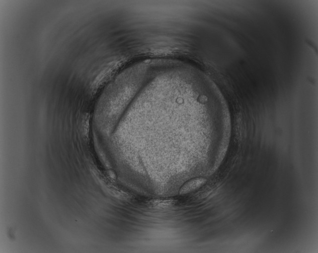 X0000103240495200809251331