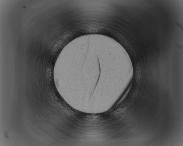 X0000103240497200809251331