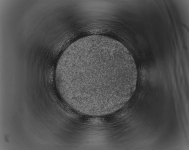 X0000103240499200809251331