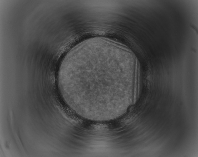 X0000103240500200809251331