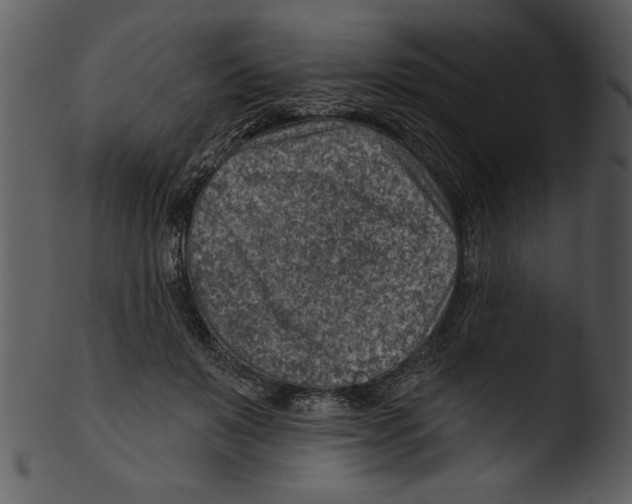 X0000103240503200809251331