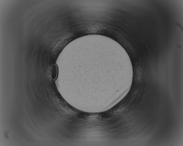 X0000103240505200809251331