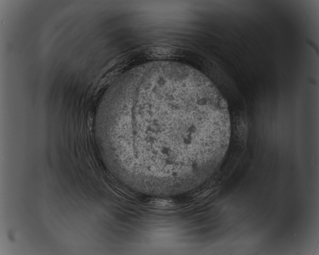 X0000103240507200809251331