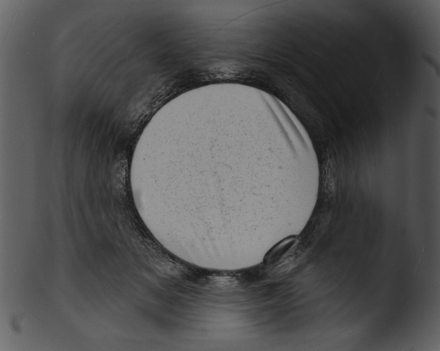 X0000103240509200809251331