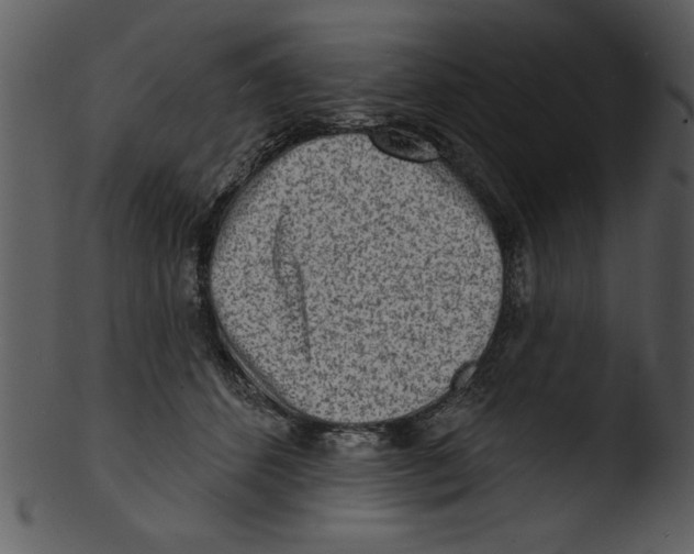 X0000103240512200809251331