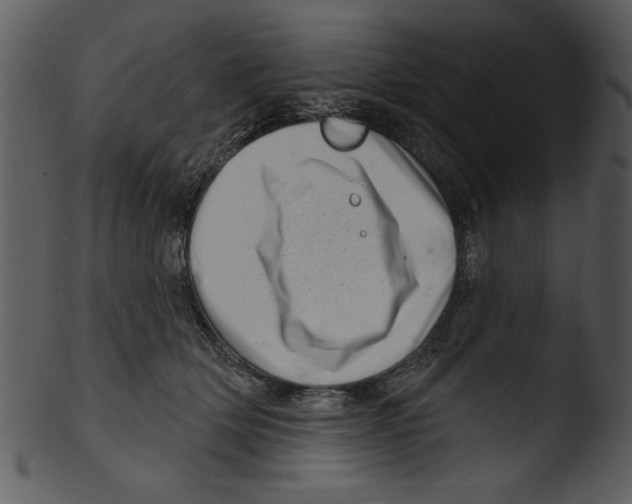 X0000103240514200809251331