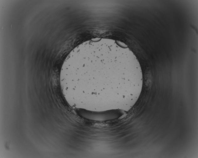 X0000103240515200809251331