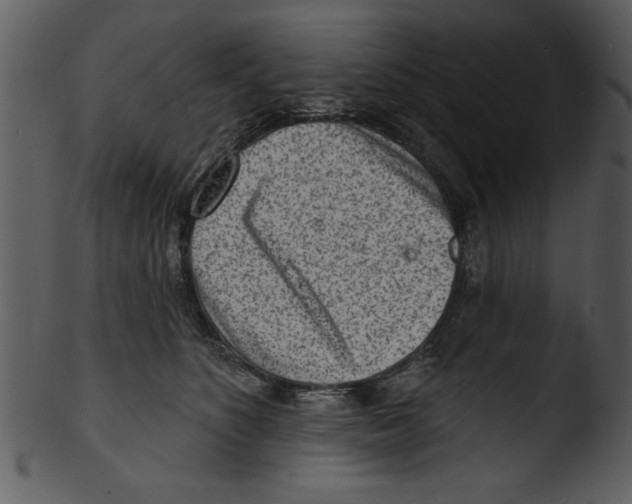 X0000103240516200809251331