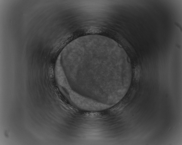 X0000103240517200809251331