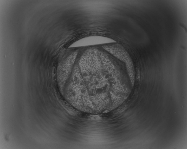 X0000103240519200809251331