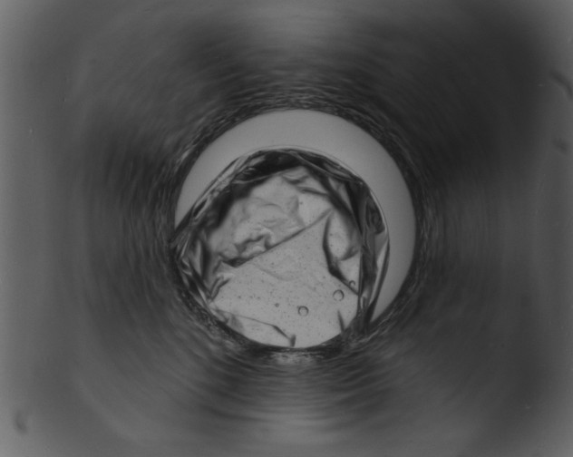 X0000103240520200809251331