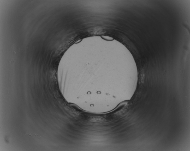 X0000103240521200809251331