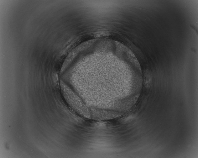 X0000103240523200809251331