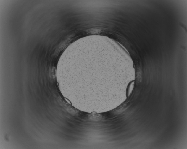 X0000103240525200809251331