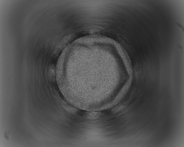 X0000103240527200809251331