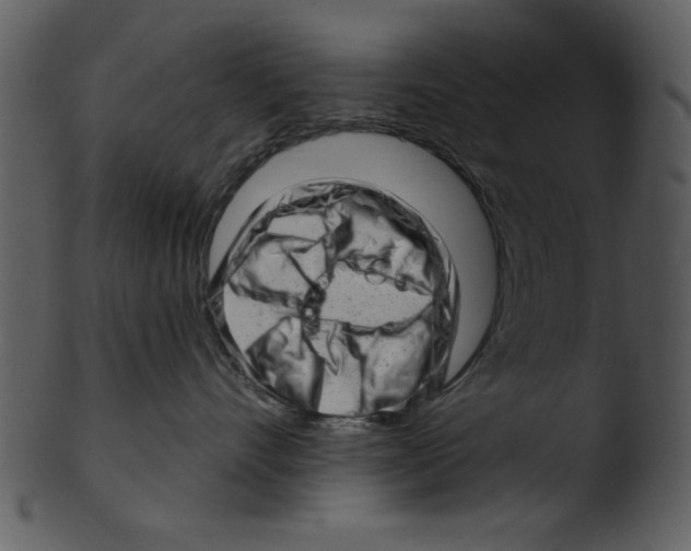 X0000103240528200809251331