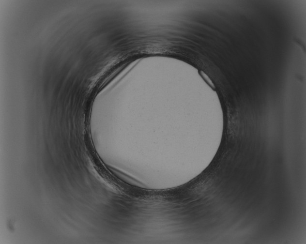 X0000103240530200809251330