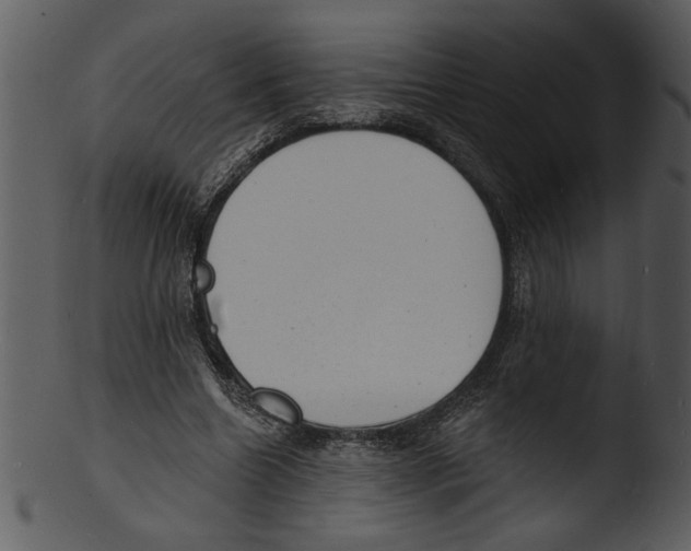 X0000103240538200809251330