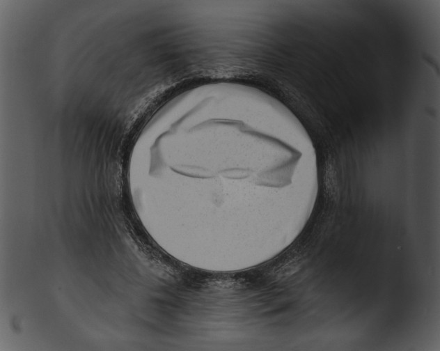 X0000103240540200809251330