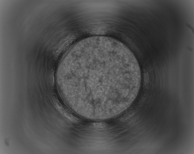 X0000103240541200809251330