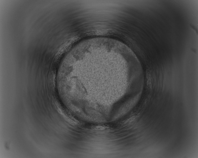 X0000103240542200809251330