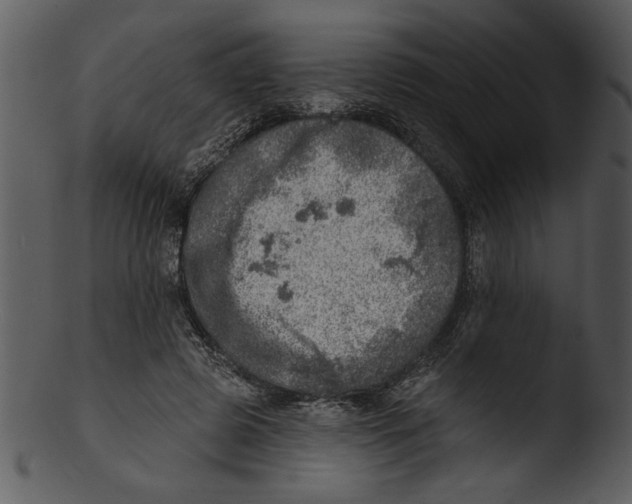 X0000103240545200809251330