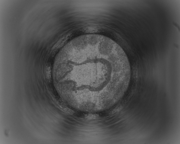 X0000103240549200809251330