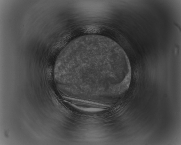 X0000103240551200809251330