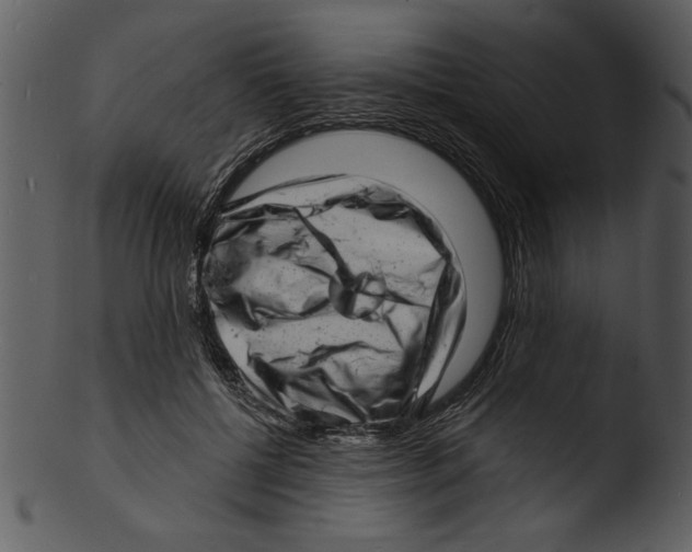 X0000103240552200809251330