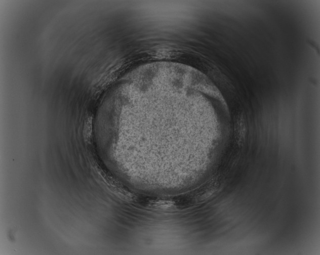 X0000103240554200809251330