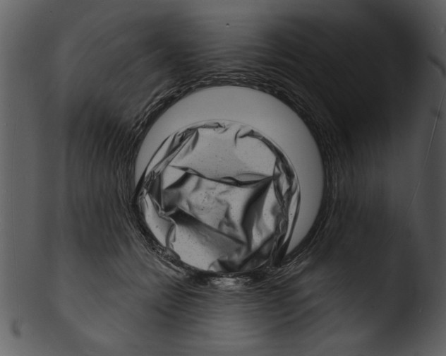 X0000103240558200809251330