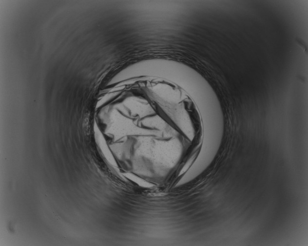 X0000103240560200809251330