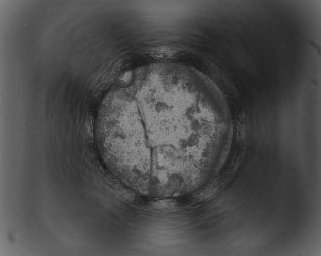 X0000103240561200809251330