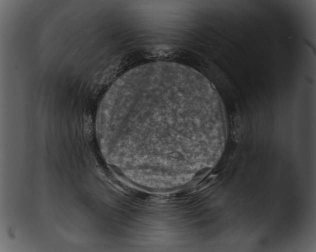 X0000103240563200809251330