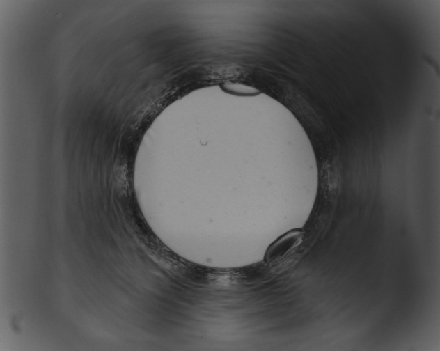 X0000103240564200809251330