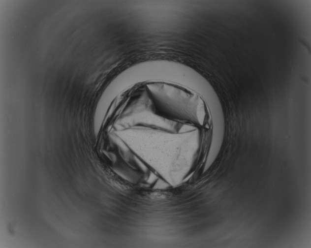 X0000103240566200809251330