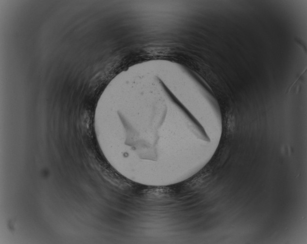 X0000103240567200809251330