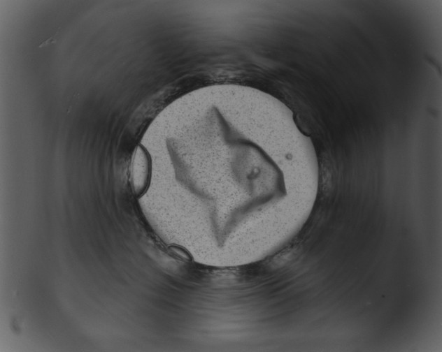 X0000103240574200809251330