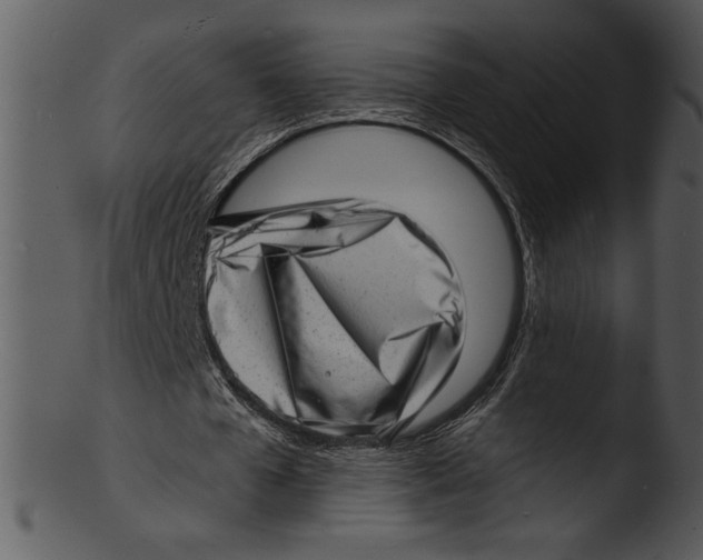 X0000103240577200809251330