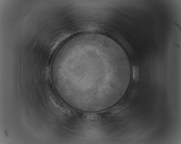 X0000103240579200809251330