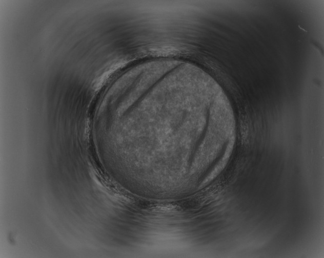 X0000103240583200809251330