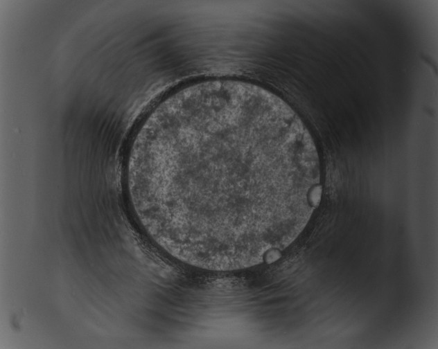 X0000103240584200809251330