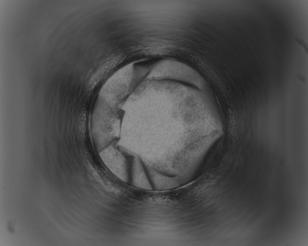 X0000103240586200809251330