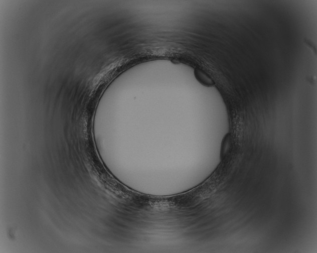 X0000103240587200809251330