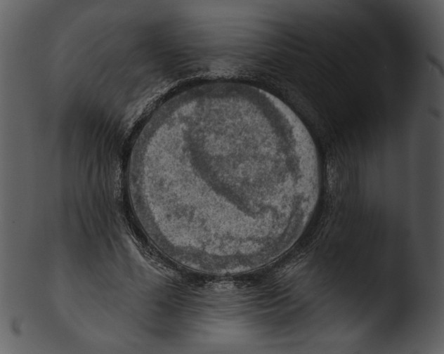 X0000103240588200809251330