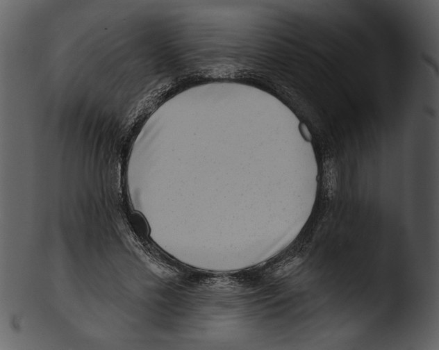 X0000103240589200809251329