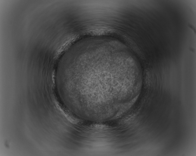 X0000103240590200809251329