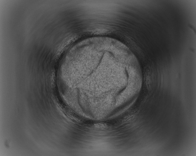 X0000103240591200809251329