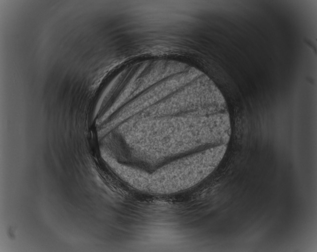 X0000103240592200809251329