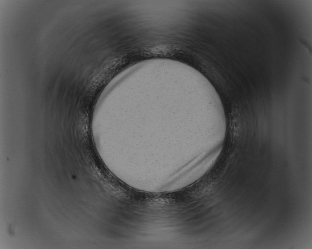 X0000103240593200809251329